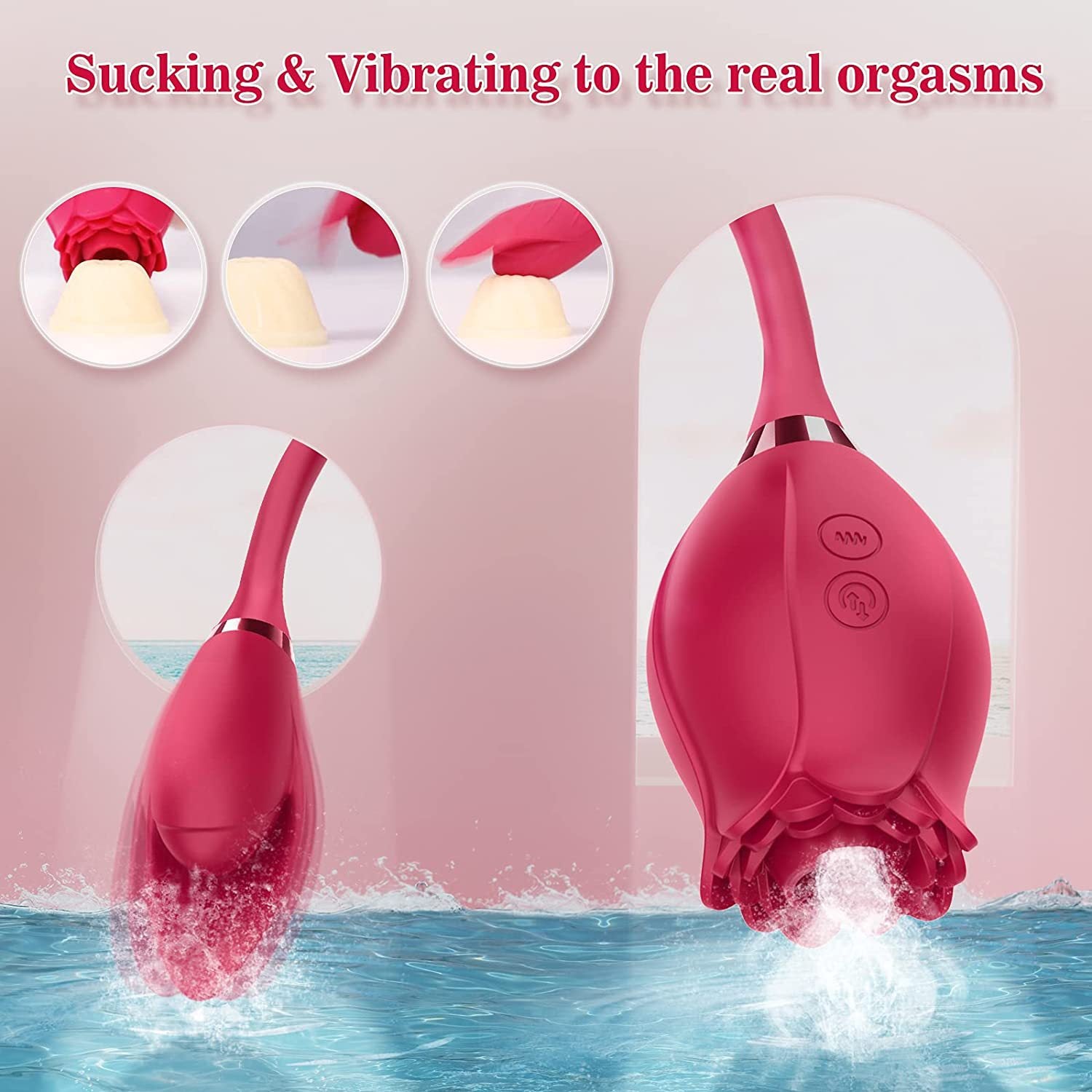 Royal Orchid Pulse